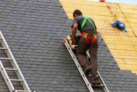 Best Metal Roofing Installation  in Warren, IL